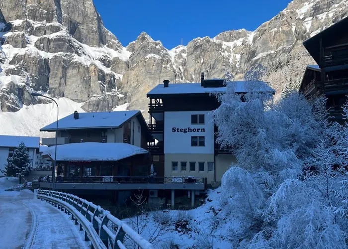 Appartement Steghorn 3