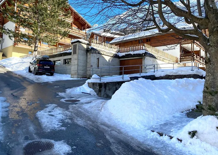 Appartement Steghorn 3 *